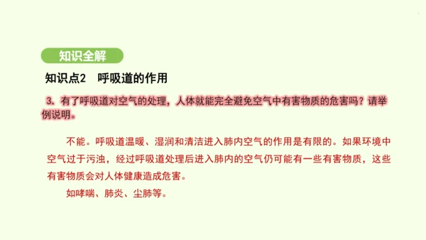 第四单元-第三章-第一节-呼吸道对空气的处理课件-2024-2025学年七年级生物下学期人教版(20