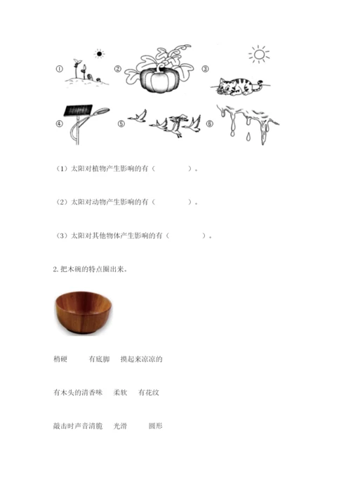 教科版二年级上册科学期末考试试卷附参考答案【考试直接用】.docx