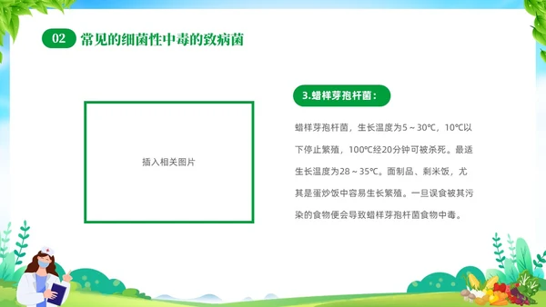 绿色清新展板风夏季食品安全健康指南PPT夏季安全