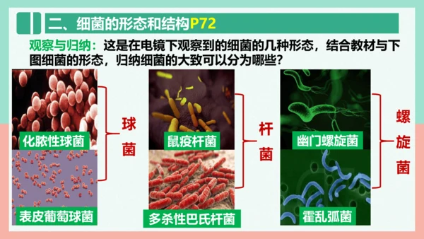 5.4.2  细菌  课件-人教版生物八年级上册(共39张PPT)