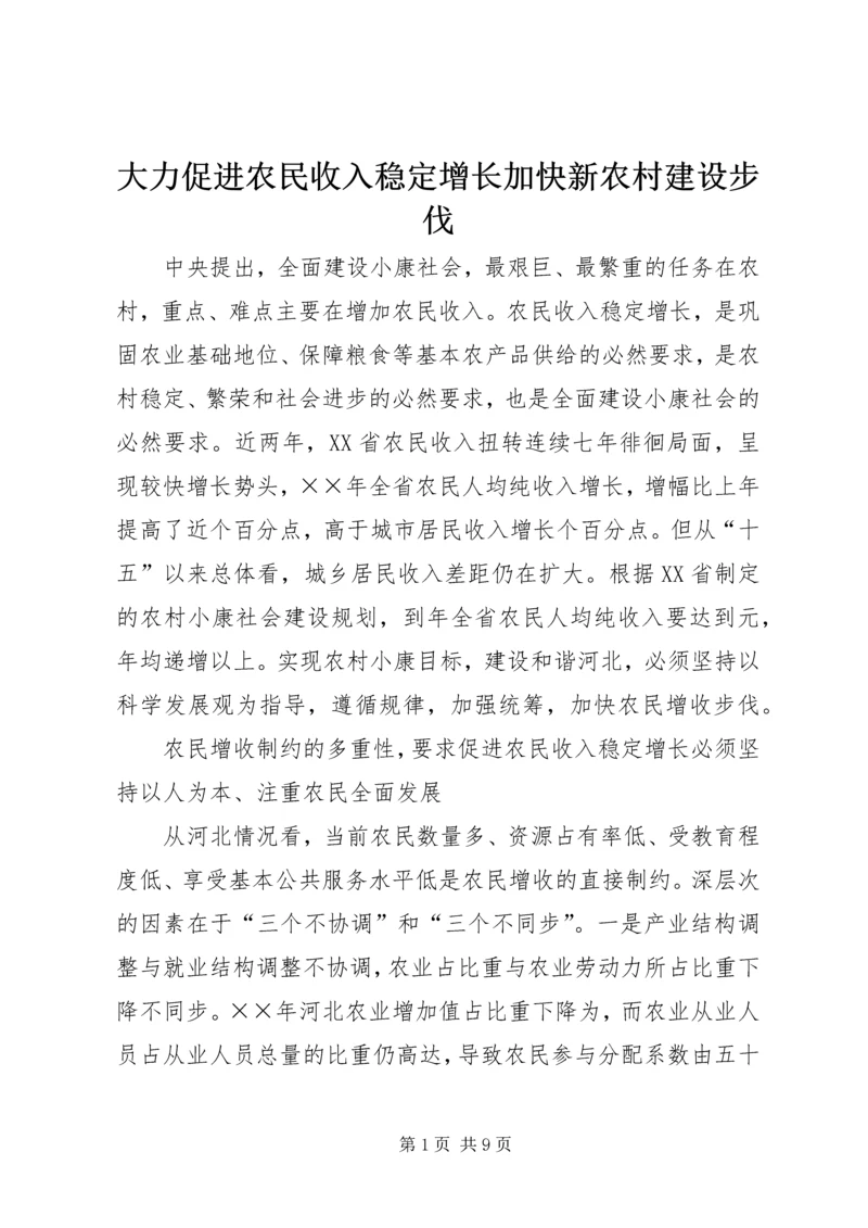 大力促进农民收入稳定增长加快新农村建设步伐.docx