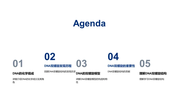 DNA双螺旋结构解析PPT模板