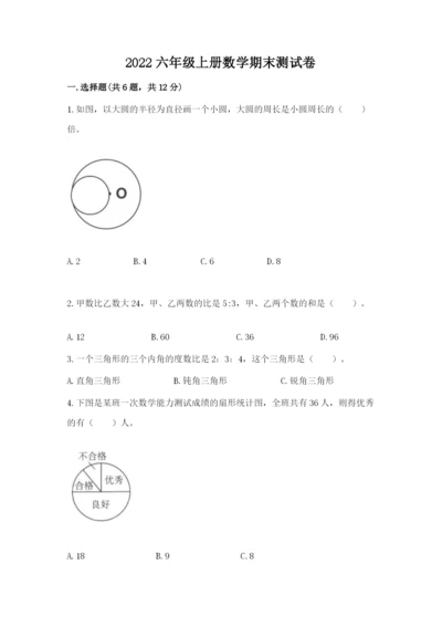 2022六年级上册数学期末测试卷附完整答案【夺冠系列】.docx