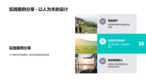述职报告：森林保护PPT模板