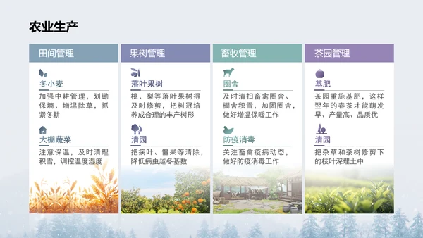 二十四节气之大雪PPT模板