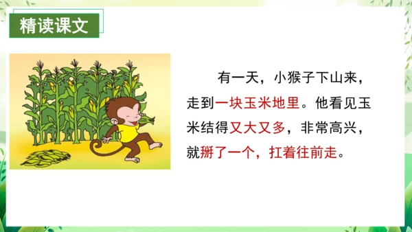 17小猴子下山（教学课件）