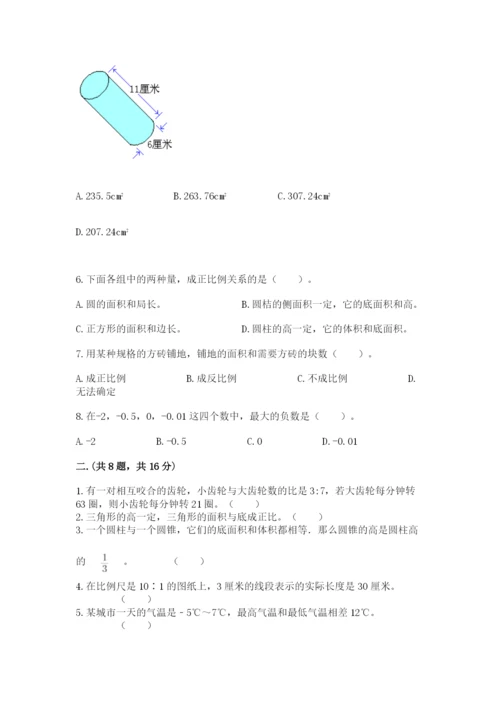 苏教版数学六年级下册试题期末模拟检测卷（各地真题）.docx