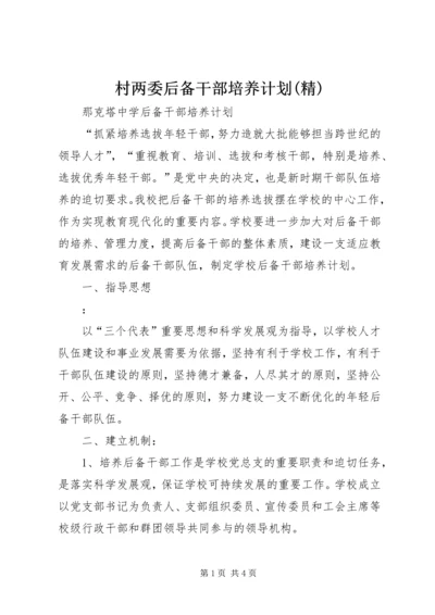 村两委后备干部培养计划(精) (4).docx