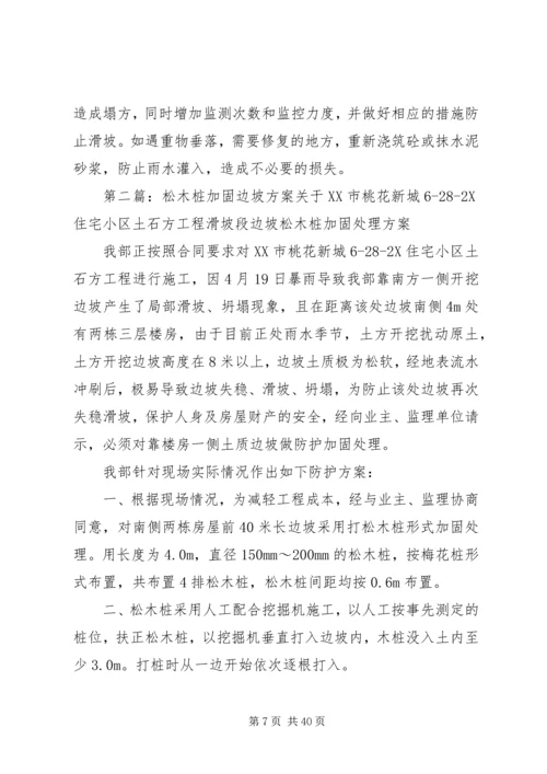 边坡与加固方案.docx