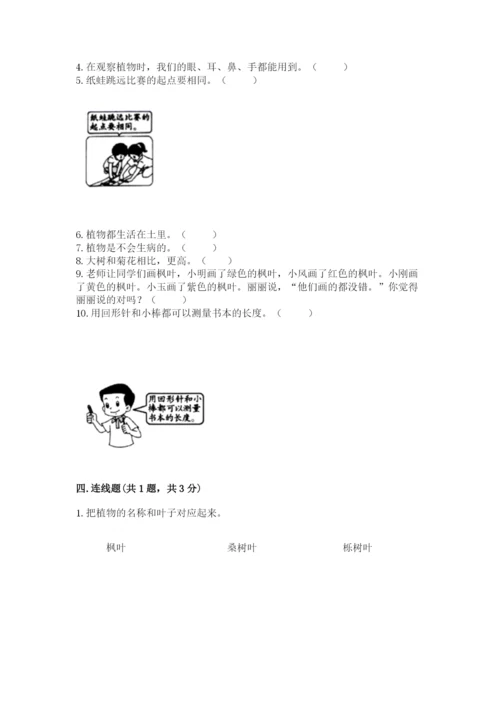 教科版一年级上册科学期末测试卷精品带答案.docx