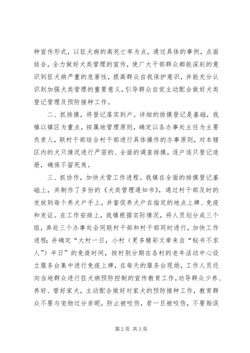 犬只管理汇报材料 (2).docx