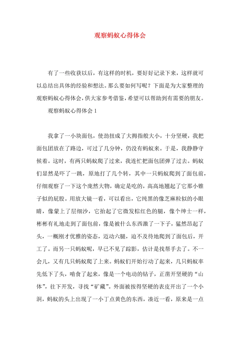 观察蚂蚁心得体会.docx