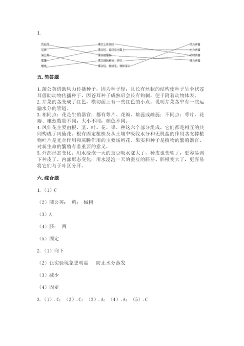 科学四年级下册第一单元《植物的生长变化》测试卷（研优卷）.docx