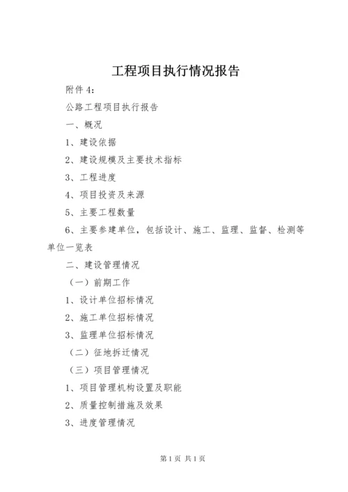 工程项目执行情况报告.docx
