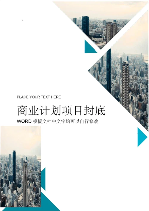 简洁商业项目计划报告封面word模板