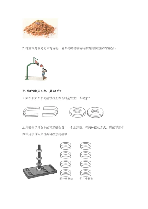 教科版二年级下册科学知识点期末测试卷含答案【轻巧夺冠】.docx
