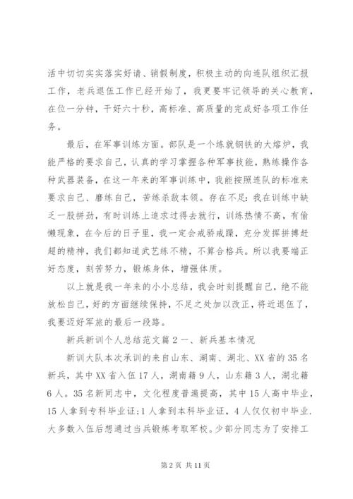 新兵新训个人总结范文.docx