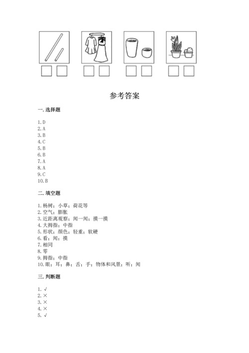 教科版一年级上册科学期末测试卷及参考答案【夺分金卷】.docx