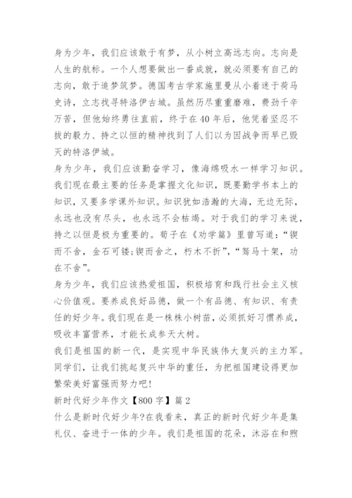 新时代好少年作文【800字】.docx