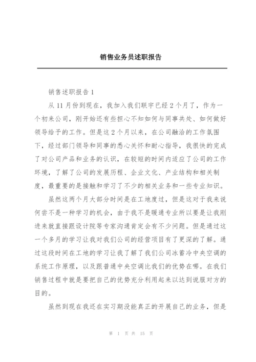 销售业务员述职报告.docx