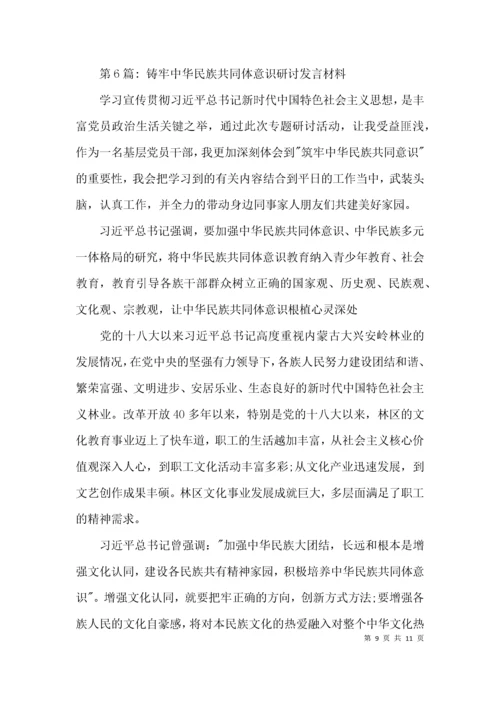 （精选）铸牢中华民族共同体意识研讨发言材料集合7篇.docx