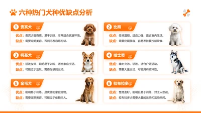 橙色简约风宠物市场营销策略分析