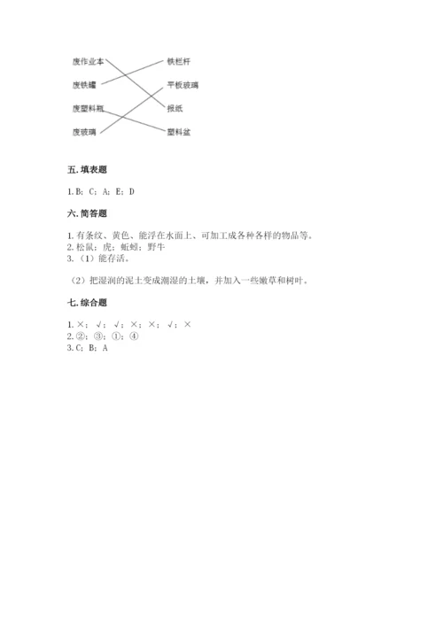 教科版小学二年级上册科学期末测试卷审定版.docx