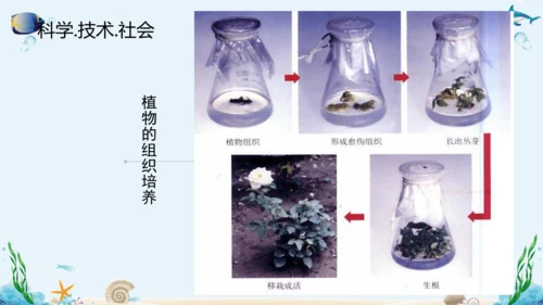 人教版八年级下册生物复习课件