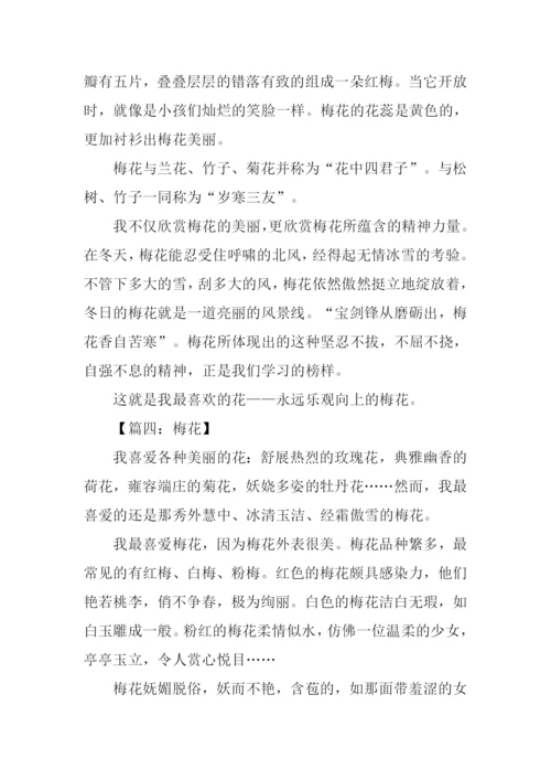梅花的作文550字.docx