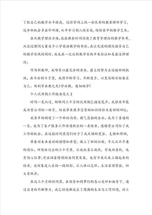 个人试用期工作报告范文