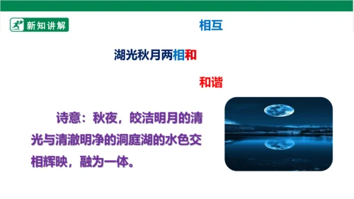 部编版语文三年级上册 17.古诗三首 望洞庭 课件