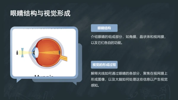 3《口耳目手足》课件