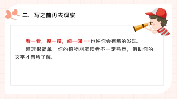 统编版语文三年级下册统编版习作：我的植物朋友 （课件）