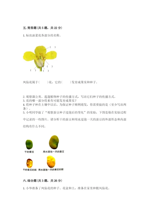 科学四年级下册第一单元《植物的生长变化》测试卷（考点梳理）.docx