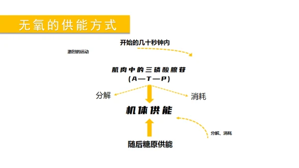 个性创意运动健身宣传工作报告通用PPT模板