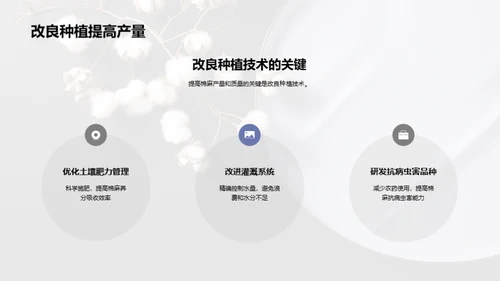 棉麻产业创新蓝图