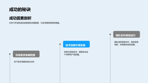 农业项目风雨之旅