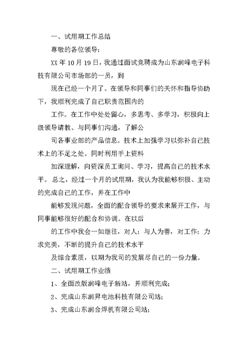 网络销售试用期工作总结