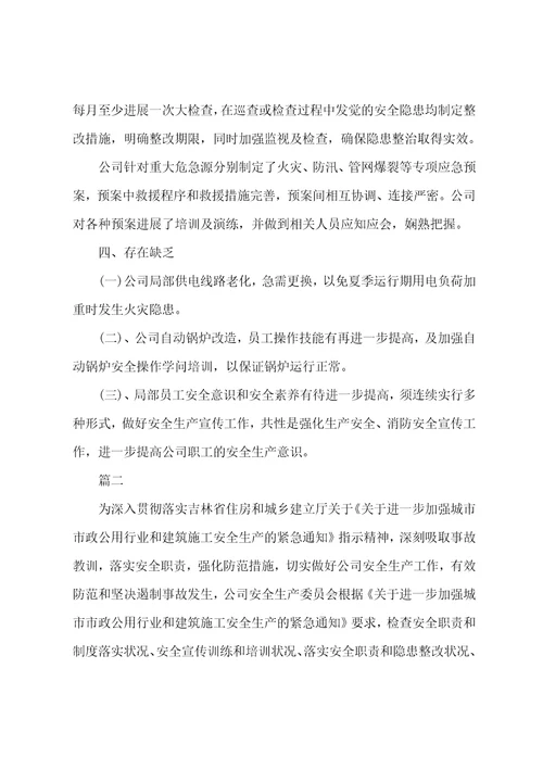 企业安全生产自查报告书