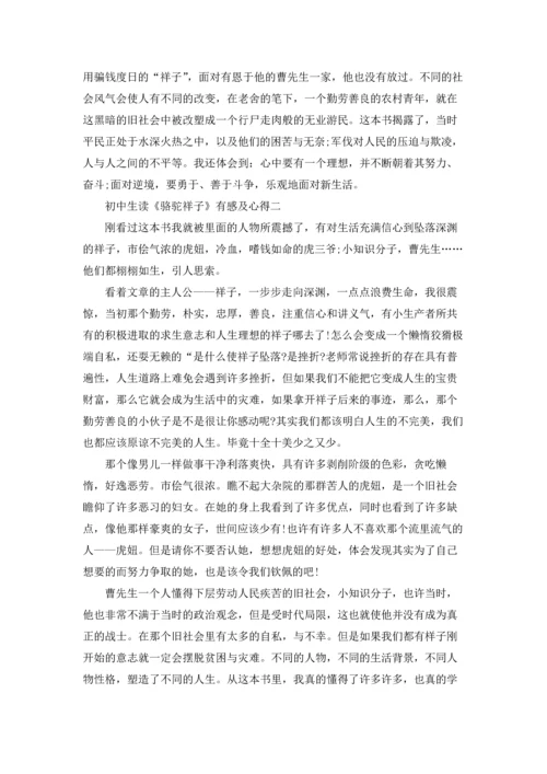 初中生读《骆驼祥子》有感及心得范文.docx