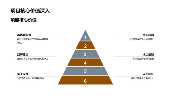 全面解析房产项目