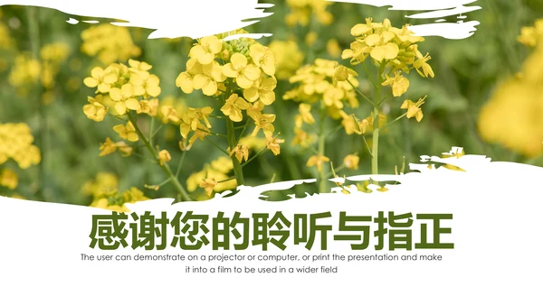 春天乡村旅游油菜花风景油菜花田PPT模板