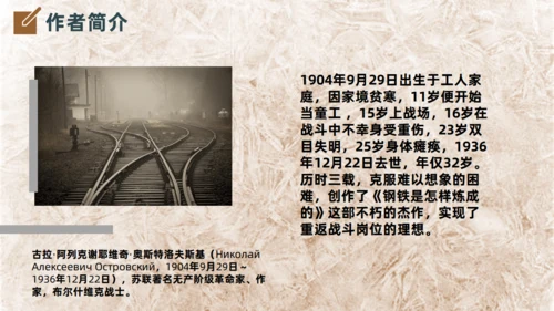 钢铁是怎么炼成的名著导读通用PPT课件