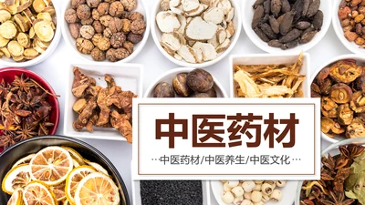 传统中医学中医院中医文化中草药PPT模板