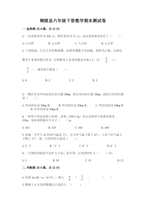 铜陵县六年级下册数学期末测试卷（精练）.docx