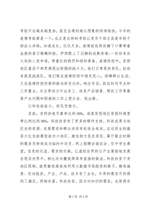 扶贫攻坚观后感两篇.docx