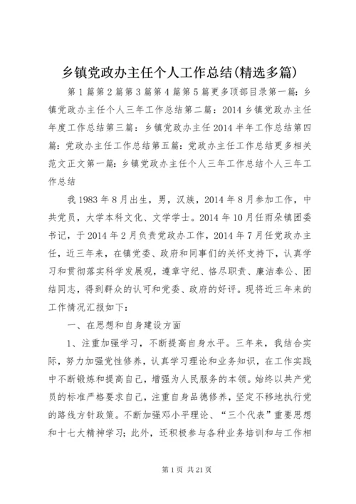 乡镇党政办主任个人工作总结(精选多篇).docx