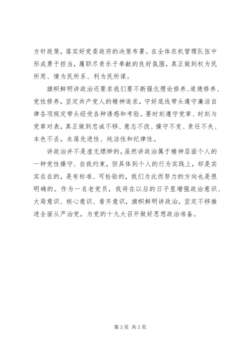 旗帜鲜明讲政治个人心得体会.docx