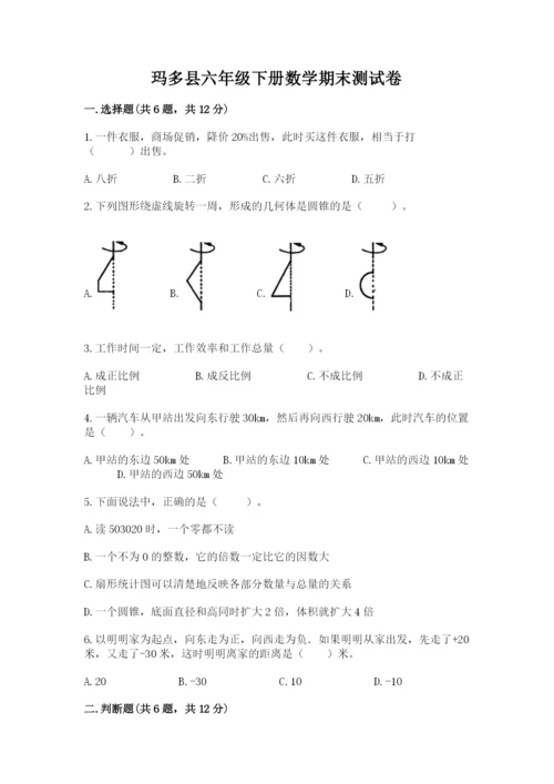 玛多县六年级下册数学期末测试卷（模拟题）.docx