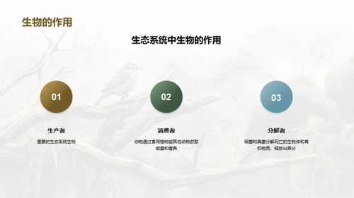 水墨风教育培训教学课件PPT模板